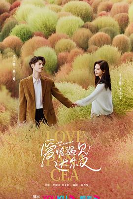 怎么做网站优化seo